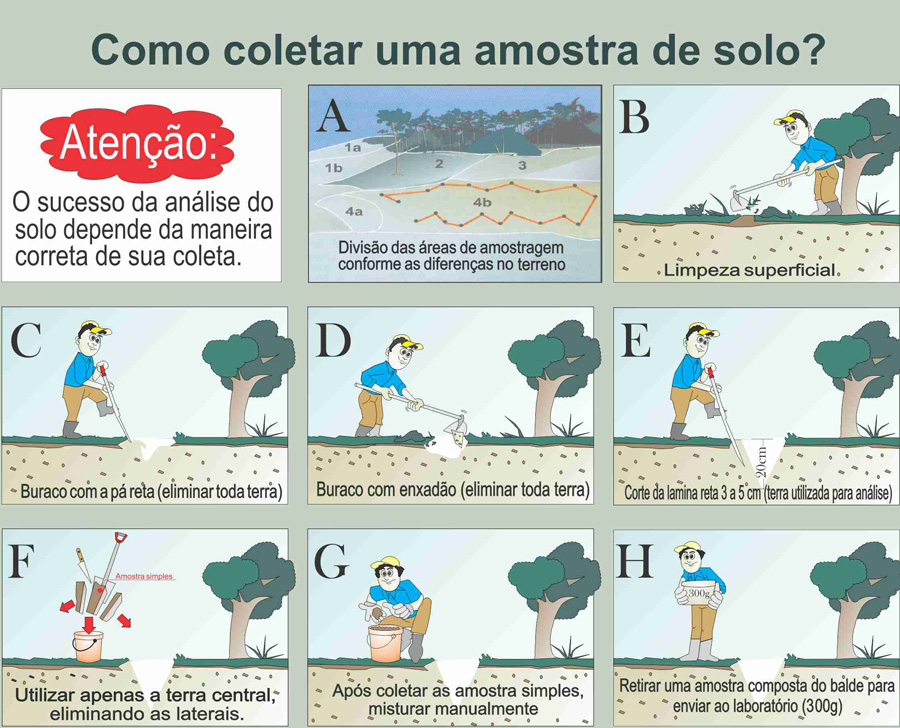 analise do solo 