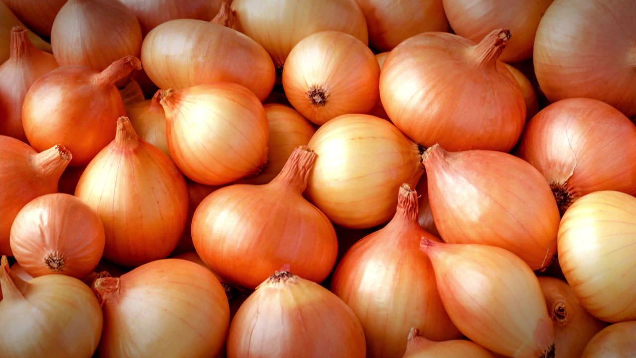 Baixa oferta de cebola impulsiona mercado