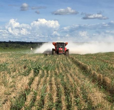 Calcário impulsiona produtividade em áreas de integração lavoura-pecuária