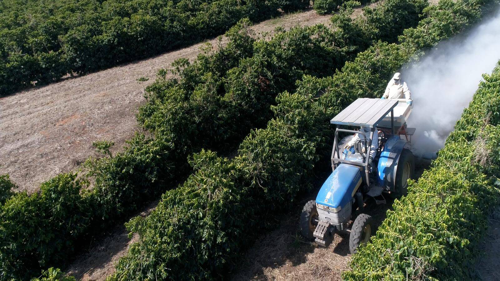 Destaque em eficiência, empresa Solo Fértil leva benefícios para plantios